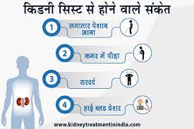 कर्नाटक में किडनी फेल्योर के लिए आयुर्वेदिक उपचार